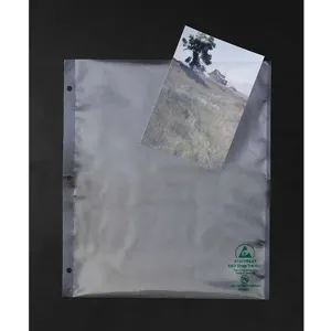 DESCO INDUSTRIES 47120 Esd Shop Bag 9.5 x 11 Inch - Pack Of 100 | AF4UPR 9KHG6