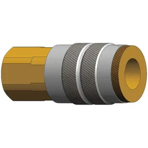 DIXON 2FF2-B Threaded Coupler, 1/4 Inch NPTF, Brass | AE3CZF 5CGR3