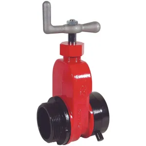 DIXON AHGV250F-I Gate Valve Single 2-1/2 Inch Nst | AE8DAD 6CLX7