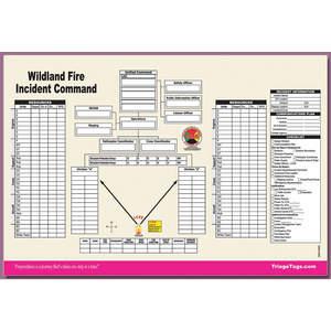 DMS DMS 05565 Wildland Fire ICs-Arbeitsblatt 25er-Pack | AC7EEA 38E612
