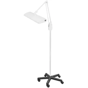 DAZOR 175C3-WH-DL Classic Arm Mobile Floor Stand Light, Daylight, 45W, White, 33 Inch | AG7HBV