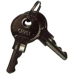 EAGLE C83N Keys Steel - Pack Of 2 | AA7HQZ 15Y986