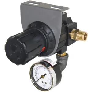 ECONOLINE 411116-S Regulator Pressure with Gauge | AH2BNA 24JL51