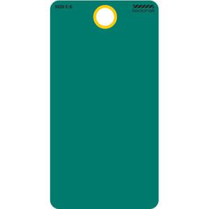ELECTROMARK 5020CG Blanko-Tag 5-3/4 x 3 Zoll grün – Packung mit 25 Stück | AF4TVU 9K049