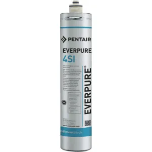 EVERPURE EV9601-51 Filter Cartridge 2 gpm 125 psi | AG3CBQ 32UL49