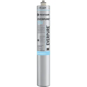 EVERPURE EV9606-01 Filter Cartridge 3.5 gpm 125 psi | AG3CBP 32UL48