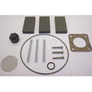 FILLRITE 100KTF1214 Fuel Transfer Pump Repair Kit | AC3BTX 2RE10