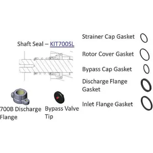 FILLRITE KIT700BD Biodiesel Pump Kit | AG9DVN 19NK61