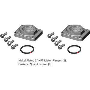 FILLRITE KIT900PF1N Meter/Flange Kit 1 Inch NPT Nickel | AG9DXE 19NK99