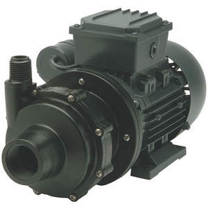 FINISH THOMPSON DB3V-T-M612 Pumpe mit Magnetantrieb, 1/8 PS, 1.55 Ampere, max. 21 Fuß | AE3UEJ 5FZW2