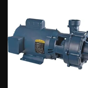 FLINT & WALLING C22231 Centrifugal Pump 3 HP 1-Phase 230V | AB7FVP 22W768