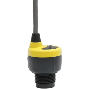 FLOWLINE DL14-01 Ultrasonic Level Sensor 49.2 In | AA4MEE 12U415