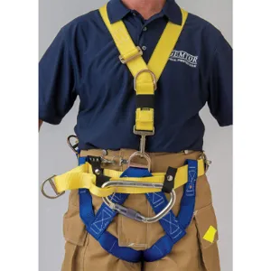 GEMTOR 543CH3-0T Class III Rescue Harness 30 Inch to 44 Inch | AG9EKY 19TJ98