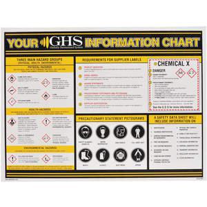 GHS SAFETY GHS1004 Ghs Information Wall Chart 18 x 24 | AA2PTL 10X328