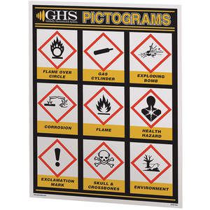GHS SAFETY GHS1027 Ghs Simplified Pictogram Chart (24 x 36) | AB7GNZ 23J568