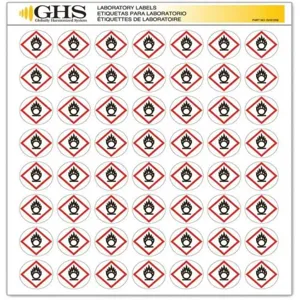 GHS SAFETY GHS1208 Label Gloss Flame Over Circle Pk 1120 | AA2PTX 10X338