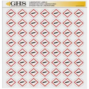 GHS SAFETY GHS1209 Label Gloss Paper Gas Cylinder Pk 1120 | AA2PTY 10X339