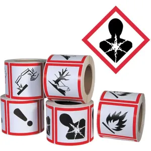 GHS SAFETY GHS1262 Pictogram Label Black/red Glossy - Pack Of 500 | AB7GPR 23J584