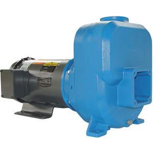 GOULDS WATER TECHNOLOGY 30SPH10 Centrifugal Pump Self Priming 3 Hp | AB4FJW 1XLZ8