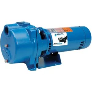 GOULDS WATER TECHNOLOGY GT10 Pump Centrifugal 1 Hp | AB2NYG 1N440