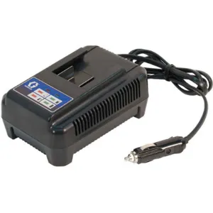 GRACO 16F628 Car Battery Charger | AF7MUG 21YR37