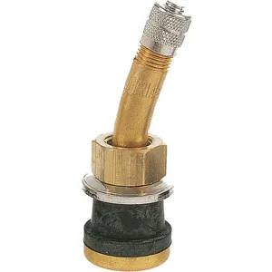 HALTEC N-1147A Tire Valve Standard Bore 2 Inch Brass PK10 | AH3HVG 32HF07