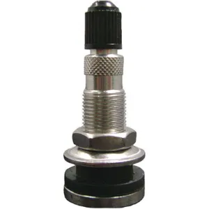 HALTEC TV-618A-SS Tire Valve Standard Bore 1-7/8 Inch Stainless Steel PK10 | AH3HVJ 32HF09