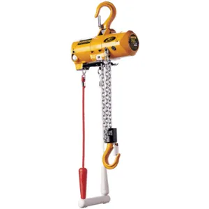 HARRINGTON AH250C-10 Air Chain Hoist 250 Lb. Capacity 10 Feet Lift | AE3LVK 5DZF3