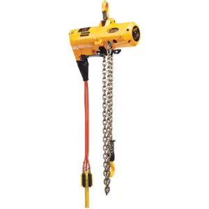 HARRINGTON TCS250P-20 Air Chain Hoist 500 Lb. Capacity 20 Feet Lift | AE3LWH 5DZH4