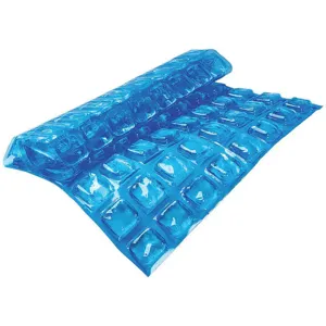 IGLOO 25079 Reusable Ice Sheet 8 x 5-1/4 x 3-1/2 | AD7JNV 4ERU8