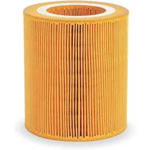 INGERSOLL-RAND 89295976 Inlet Air Filter | AE2UAZ 4ZK03