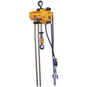 INGERSOLL-RAND ML500KS-2C10-C6 Air Chain Hoist 1100 Lb. Capacity 10 Feet Lift | AB9DJW 2CAY6