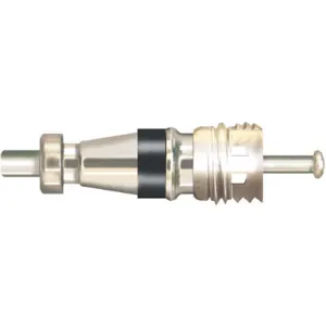 JB INDUSTRIES A31999-25 Valve Core PK25 | AG9GYB 20HJ93