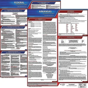 JJ KELLER 100-AR-K Labor Law Poster Kit AR English 19 Inch Width | AH2HZB 29EA94