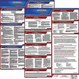 JJ KELLER 100-AZ-5 Arbeitsrecht-Poster Bundes/Bundesstaat AZ ENG 20 Zoll Höhe 5 Jahre | AH6REB 36EW78