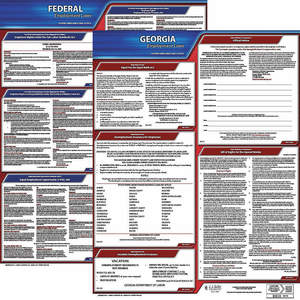 JJ KELLER 100-GA-5 Labor Law Poster Federal and State GA ENG 20 Inch Height 5 Year | AH6REJ 36EW85