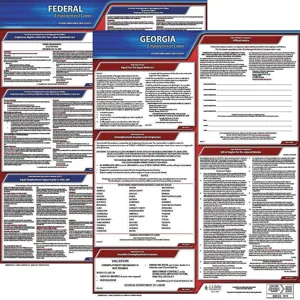 JJ KELLER 100-GA-3 Labor Law Poster Federal / State GA ENG 20 Inch Height 3 Year | AH6QZU 36EV78