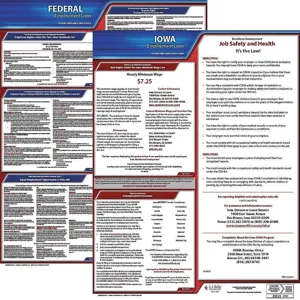 JJ KELLER 100-IA-3 Labor Law Poster Federal / State IA ENG 20 Inch Height 3 Year | AH6QZW 36EV80