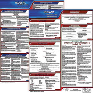 JJ KELLER 100-IN-5 Labor Law Poster Federal and State IN ENG 20 Inch Height 5 Year | AH6REP 36EW90