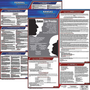 JJ KELLER 100-KS-3 Labor Law Poster Federal / State KS ENG 20 Inch Height 3 Year | AH6RAA 36EV84