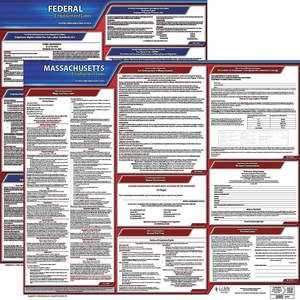 JJ KELLER 100-MA-1 Labor Law Poster Federal and State MA ENG 20 Inch Height 1 Year | AH6QVN 36EU80