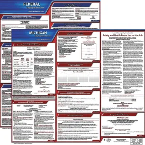 JJ KELLER 100-MI-3 Labor Law Poster Federal / State MI ENG 20 Inch Height 3 Year | AH6RAG 36EV90