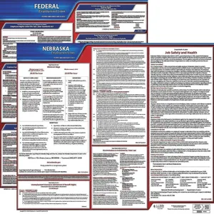 JJ KELLER 100-NE-5 Labor Law Poster Federal and State NE ENG 20 Inch Height 5 Year | AH6RFE 36EX05