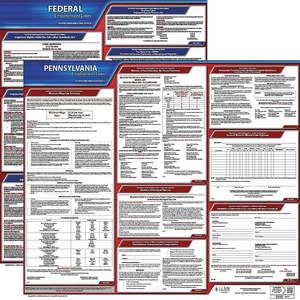 JJ KELLER 100-PA-3 Labor Law Poster Federal and State PA ENG 20 Inch Height 3 Year | AH6RAZ 36EW07