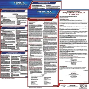 JJ KELLER 100-PR-3 Labor Law Poster Federal and State PR ENG 20 Inch Height 3 Year | AH6RBA 36EW08