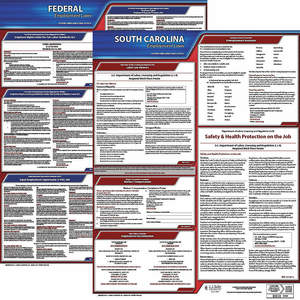 JJ KELLER 100-SC-1 Labor Law Poster Federal and State SC ENG 20 Inch Height 1 Year | AH6QWM 36EV03