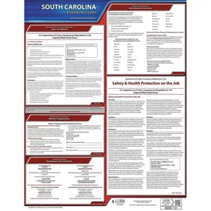 JJ KELLER 100-SC Labor Law Poster State Labor Law SC | AH2HWD 29EA27