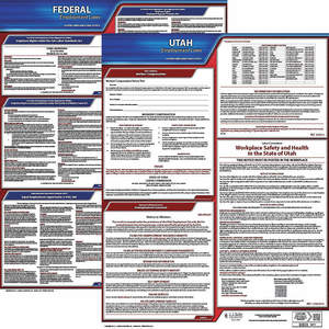 JJ KELLER 100-UT-5 Labor Law Poster Federal and State UT ENG 20 Inch Height 5 Year | AH6RFY 36EX22