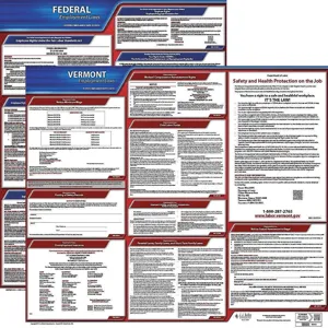 JJ KELLER 100-VT-1 Labor Law Poster Federal and State VT ENG 20 Inch Height 1 Year | AH6QWV 36EV10