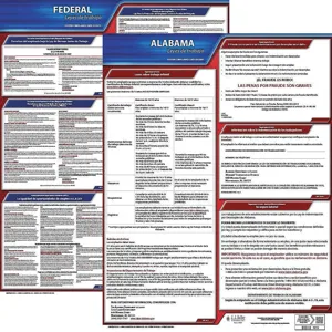 JJ KELLER 200-AL-1 Labor Law Poster Federal and State AL SP 20 Inch Height 1 Year | AH6QXB 36EV16